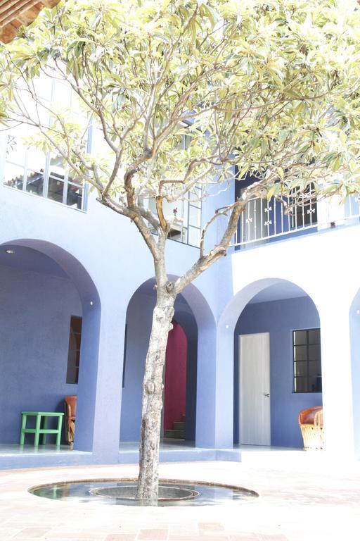 La Betulia Bed&Breakfast Oaxaca Cameră foto